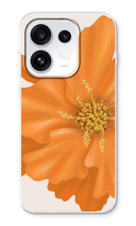 Orange Ellila flower