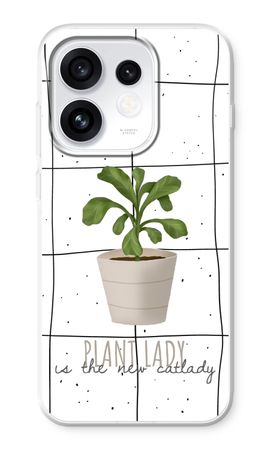 Houseplant on windowpane