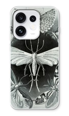 Haeckel Tineida