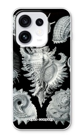 Haeckel Prosobranchia