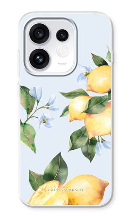 Orchard Sun