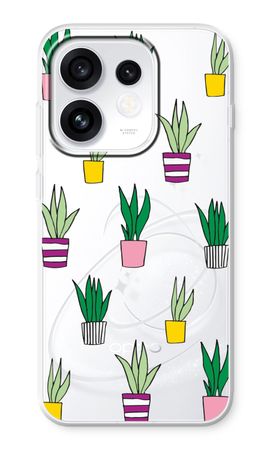 Sanseveria
