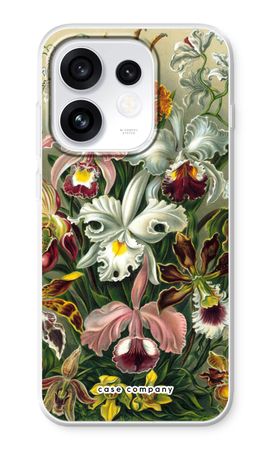 Haeckel Orchidae