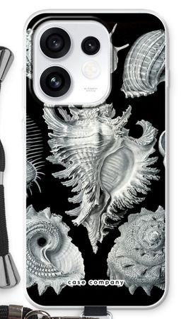 Haeckel Prosobranchia