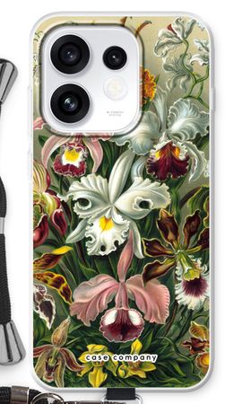 Haeckel Orchidae