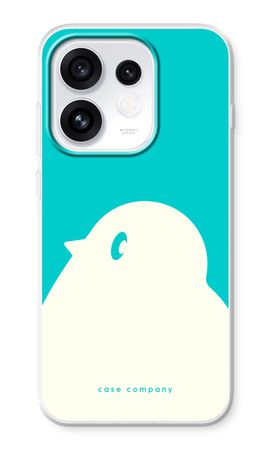 BIG Robin 2