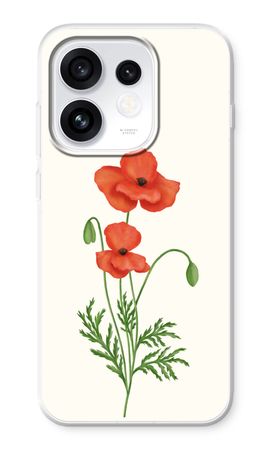 Red poppy