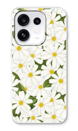 Summer Daisies