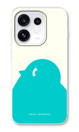 BIG Robin 1