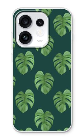 Monstera leaves