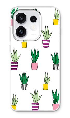 Sanseveria