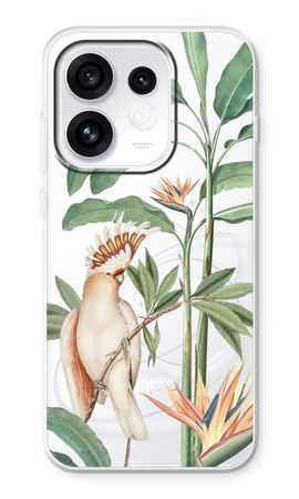 Tropical Parrot