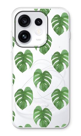 Monstera leaves