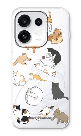 Cats