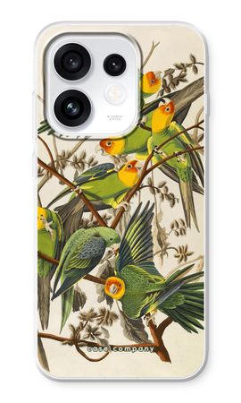 Carolina Parrot