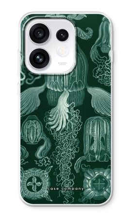 Haeckel Cubomedusae