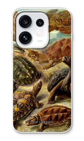 Haeckel Chelonia