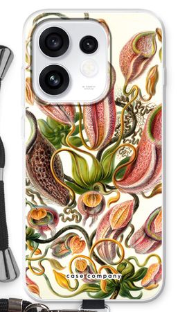 Haeckel Nepenthaceae