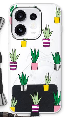 Sanseveria