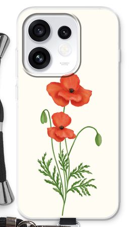 Red poppy
