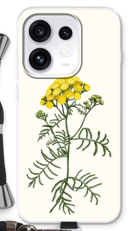 Tansy