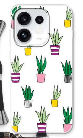 Sanseveria