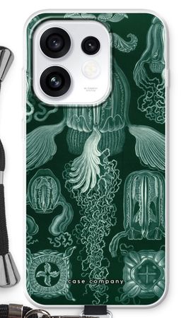 Haeckel Cubomedusae