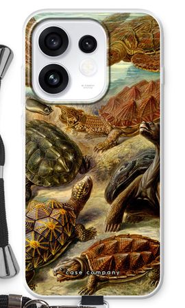 Haeckel Chelonia