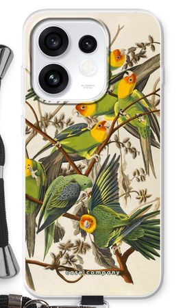 Carolina Parrot