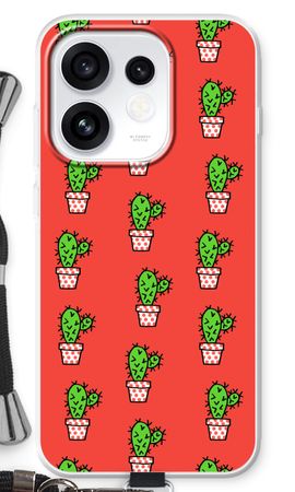 Mini cactus