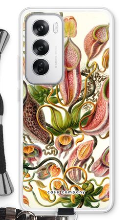 Haeckel Nepenthaceae