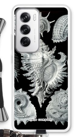 Haeckel Prosobranchia