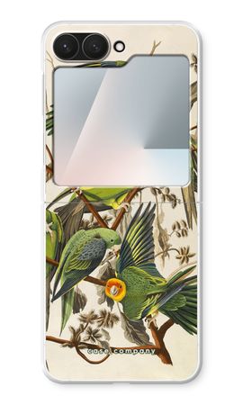 Carolina Parrot