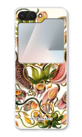 Haeckel Nepenthaceae