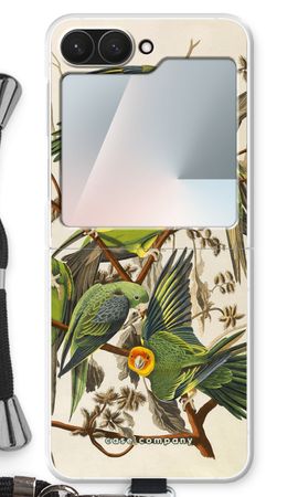 Il parrocchetto della Carolina