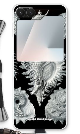 Haeckel Prosobranchia