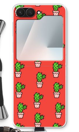 Mini cactus