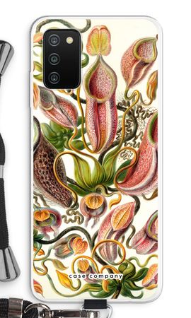 Haeckel Nepenthaceae