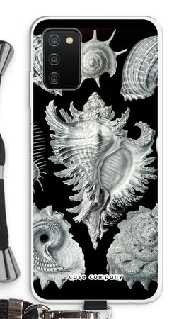 Haeckel Prosobranchia