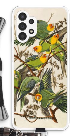 Carolina Parrot