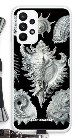 Haeckel Prosobranchia