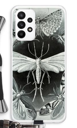 Haeckel Tineida