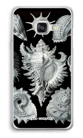 Haeckel Prosobranchia