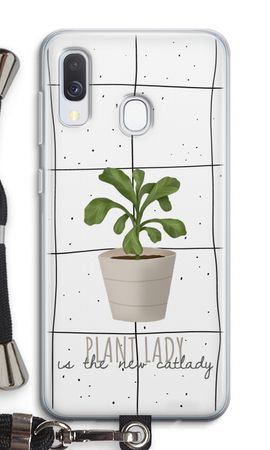 Houseplant on windowpane