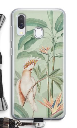 Tropical Parrot