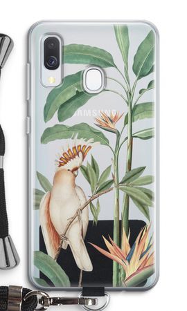 Tropical Parrot