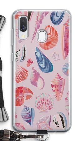 Cute Shells