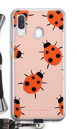 Ladybugs