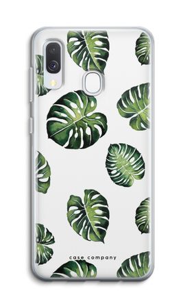 Tropical leaves