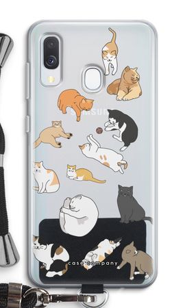 Cats